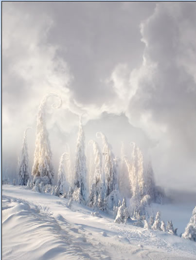 Christmas night, new year card, flying Santa Claus, fairy christmas landscape, snow scene, christmas trees, iceberg, night stars, moon light, santa's deers, christmas sleigh.